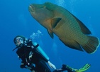 Four Seasons Resort Maldives At Landaa Giraavaru