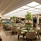 Orchard Hotel Singapore