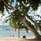 The Westin Turtle Bay Resort & Spa, Mauritius