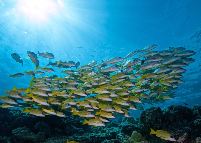 Innahura Maldives Resort