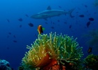 Eriyadu Island Resort