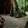 Mulu Marriott Resort & Spa
