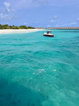 Brennia Kottefaru Maldives