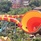 Sunway Resort