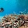 Four Seasons Resort Maldives At Kuda Huraa Сноркелинг В Отеле