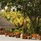 One&Only Reethi Rah