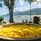 Fisherman's Cove Resort