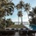 Barcelo Coconut Island