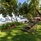 The Tubkaak Krabi Boutique Resort