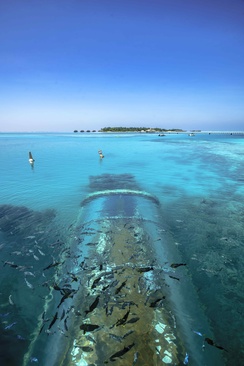 Conrad Maldives Rangali Island