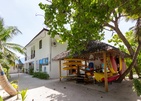 Plumeria Maldives