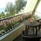 Parkroyal Penang Resort