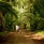 Denis Private Island Seychelles