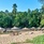 Kalima Resort & Villas Khao Lak