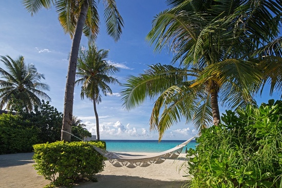 Ozen Reserve Bolifushi