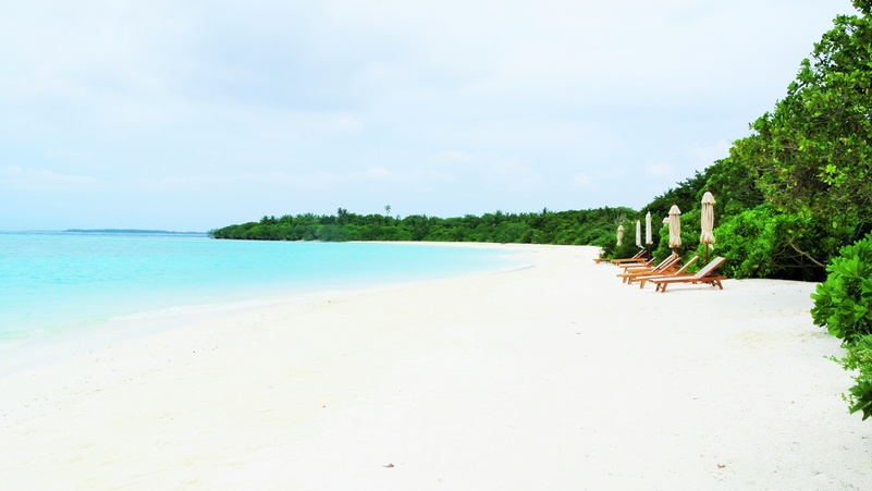 The Barefoot Eco Hotel