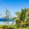 Sunshine Marine Lodge