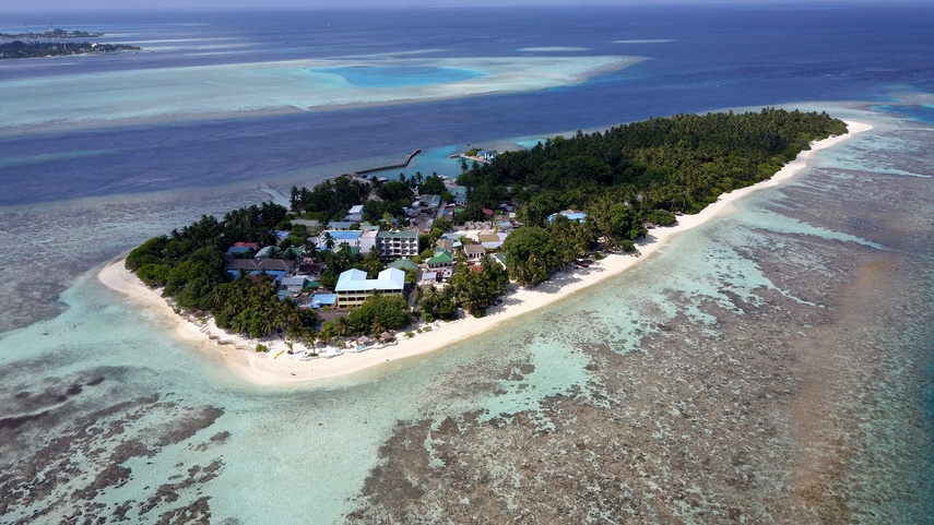 Plumeria Maldives