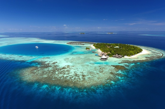 Baros Maldives Домашний Риф В Отеле