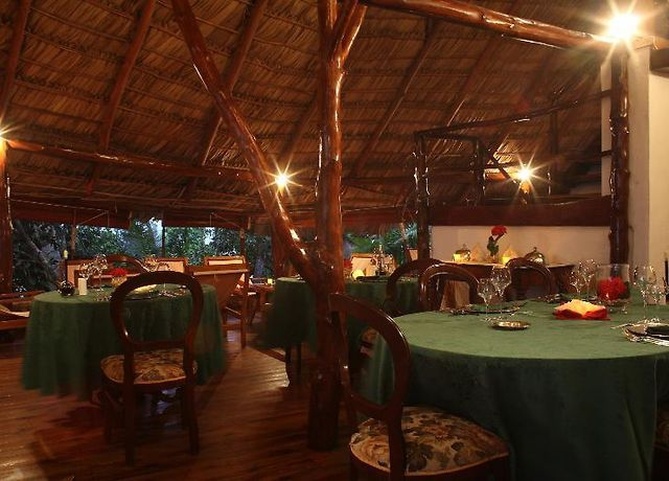 Chauve Souris Relais