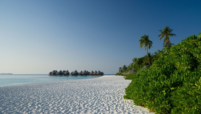 Coco Palm Dhuni Kolhu