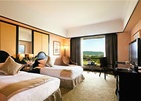 The Pacific Sutera