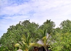Gangehi Island Resort