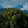 Mulu Marriott Resort & Spa