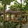 Ambong-Ambong Langkawi Rainforest Retreat