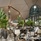 Waldorf Astoria Seychelles Platte Island
