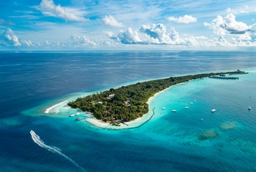Niva Kuramathi Maldives