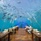 Conrad Maldives Rangali Island
