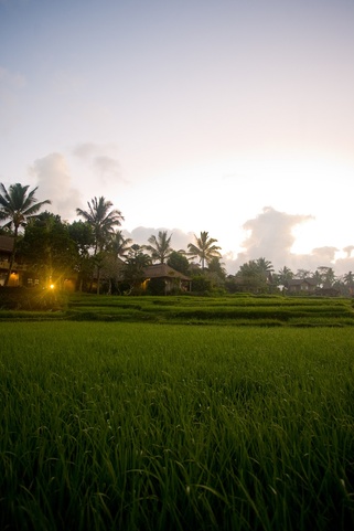 Wapa Di Ume Resort & Spa