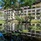 Nexus Resort & Spa Karambunai