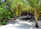 Gangehi Island Resort