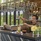 Grand Mercure Khao Lak Bangsak