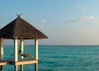 Four Seasons Resort Maldives At Landaa Giraavaru