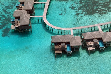 Coco Bodu Hithi