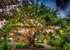 Banyan Tree Seychelles