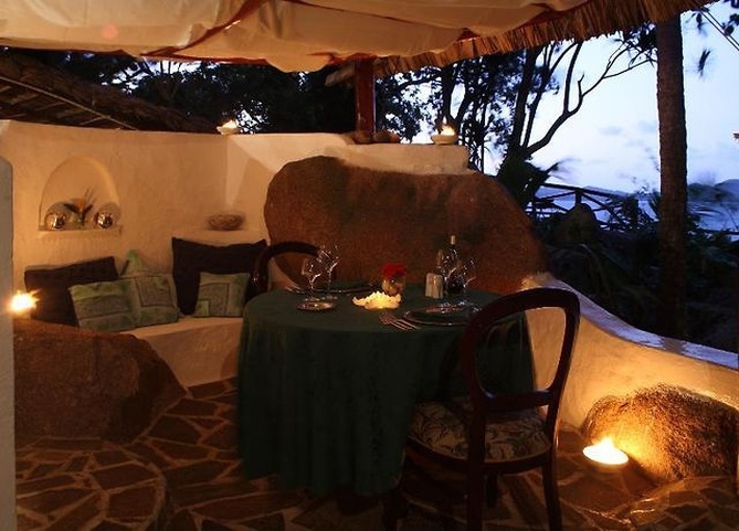 Chauve Souris Relais