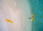 Plumeria Maldives