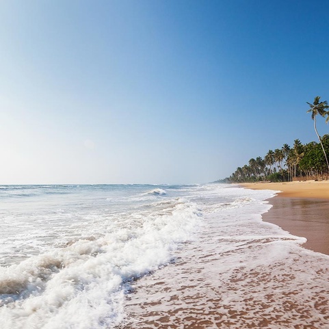 Siddhalepa Ayurvedha Health Resort