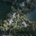 Banyan Three Phuket