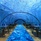 Hurawalhi Island Resort