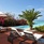 Melia Zanzibar