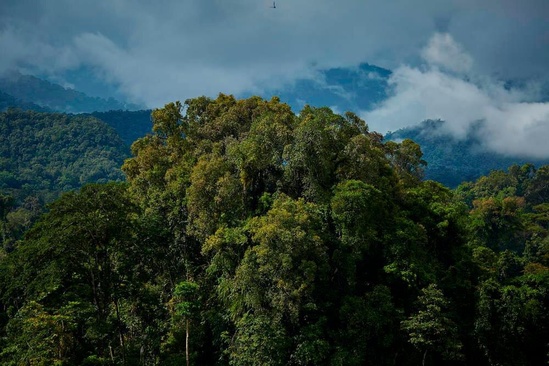 Mulu Marriott Resort & Spa