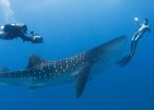 Four Seasons Resort Maldives At Landaa Giraavaru