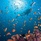 Four Seasons Resort Maldives At Kuda Huraa