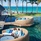 Constance Belle Mare Plage Mauritius