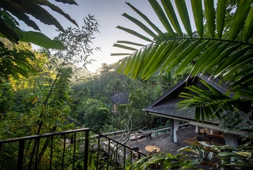 Buahan, A Banyan Tree Escape